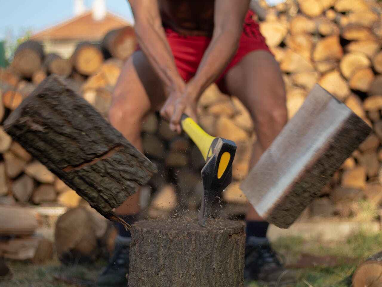 Large Tree Removal in Upper Grand Lagoon, FL